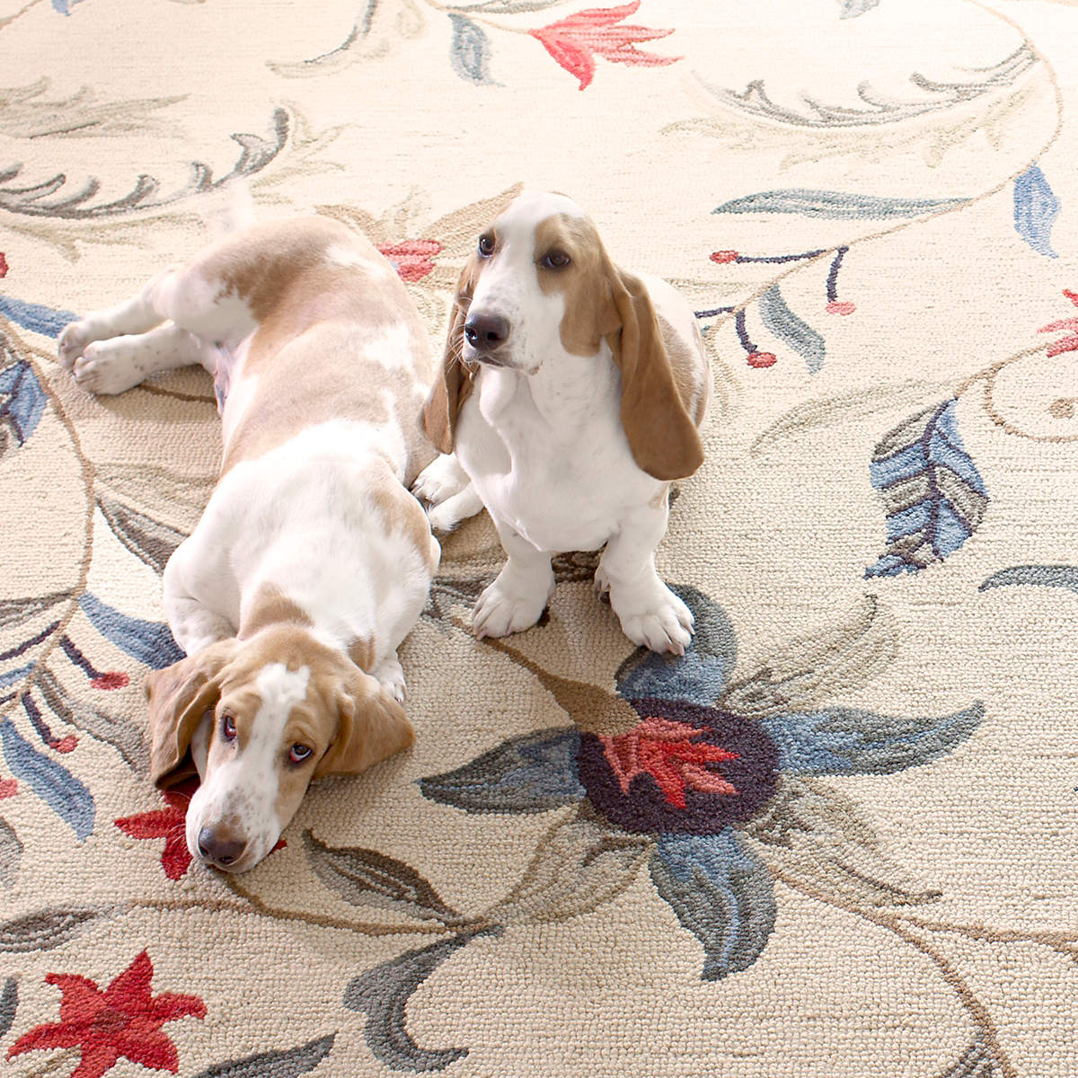 Dash & Albert Rugs Dove And Distaff